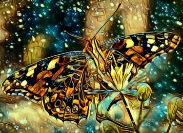 Magnifique papillon que J aime