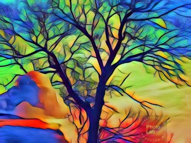 Un arbre haut en couleurs