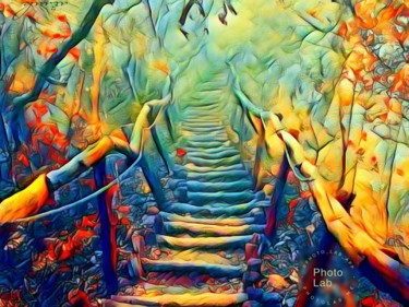 L escalier dans la forêt